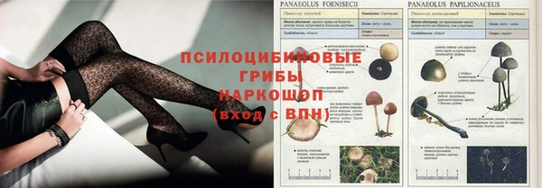 стаф Абдулино