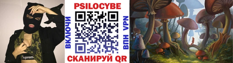 купить  сайты  Алдан  Галлюциногенные грибы GOLDEN TEACHER 